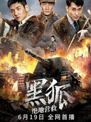 热播推荐4